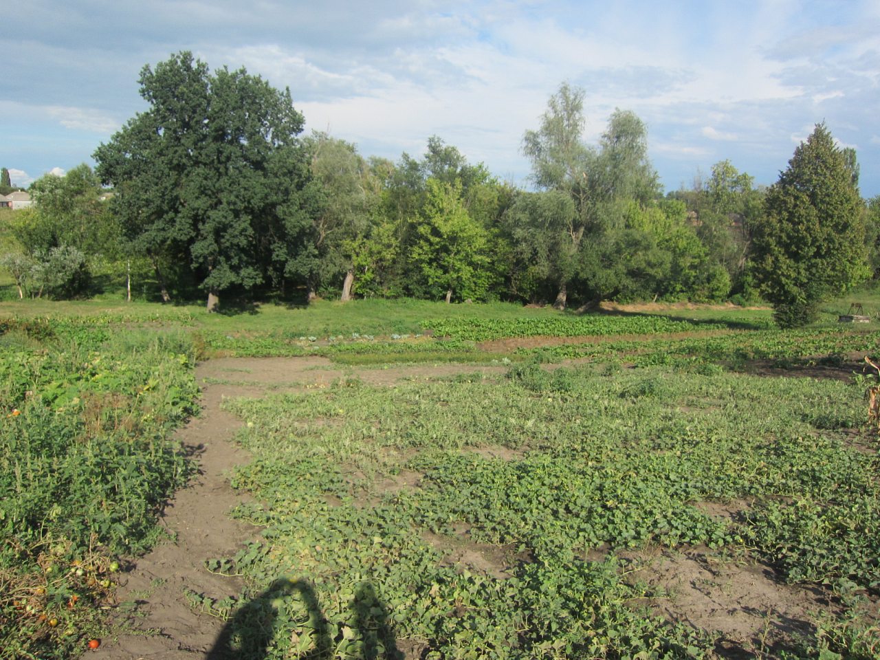 Край моего детства. - Глодоси