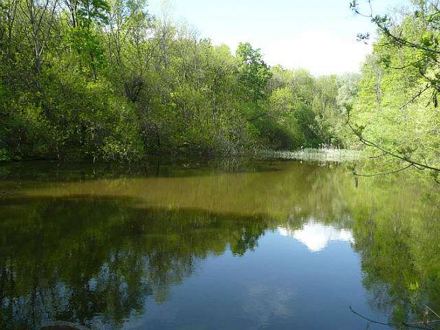 фото из группы=краю мiй Шевченкiвщино=Однокла - Безмятежне