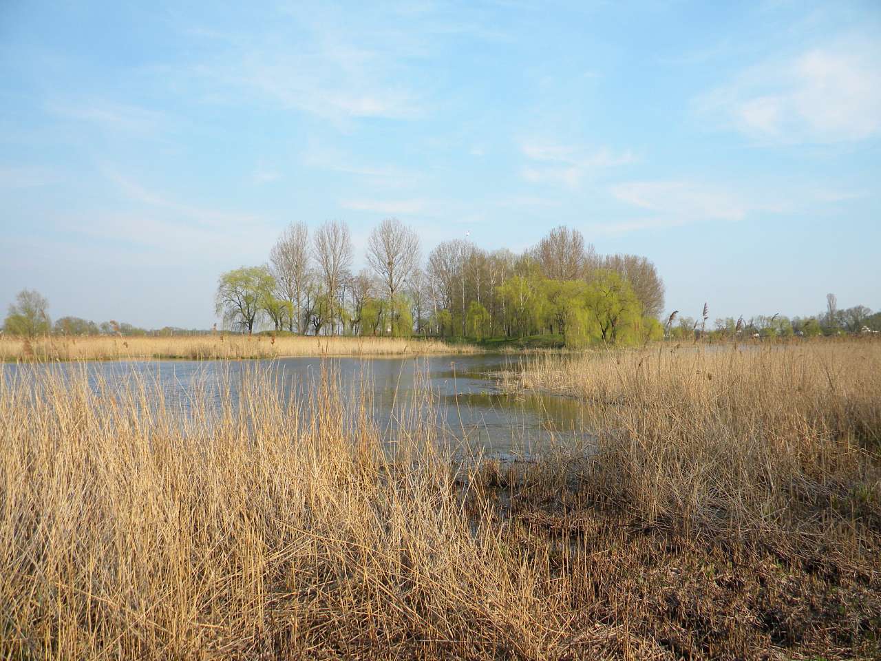 Річка Пляшівка. Замок - Козин