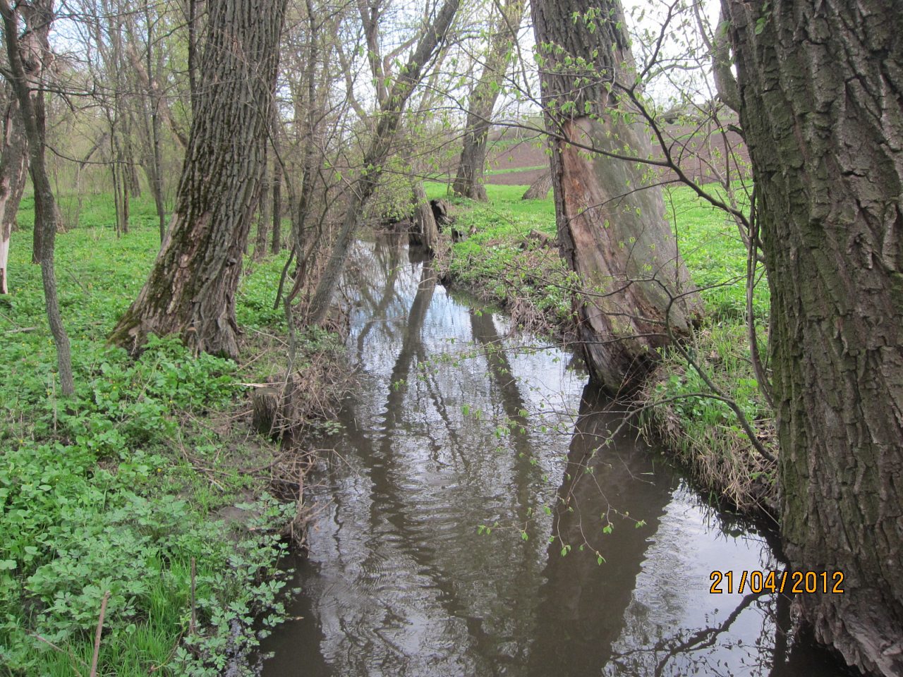 Край моего детства. - Глодоси