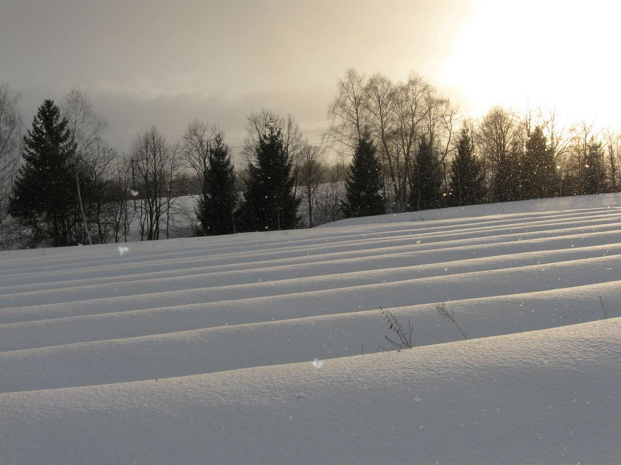світлини - Белеїв