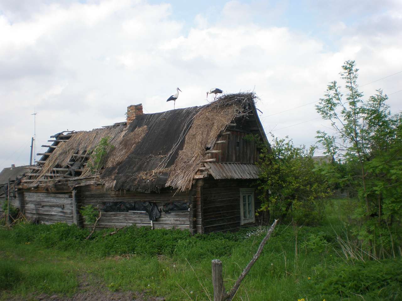 Коморы - Коморы