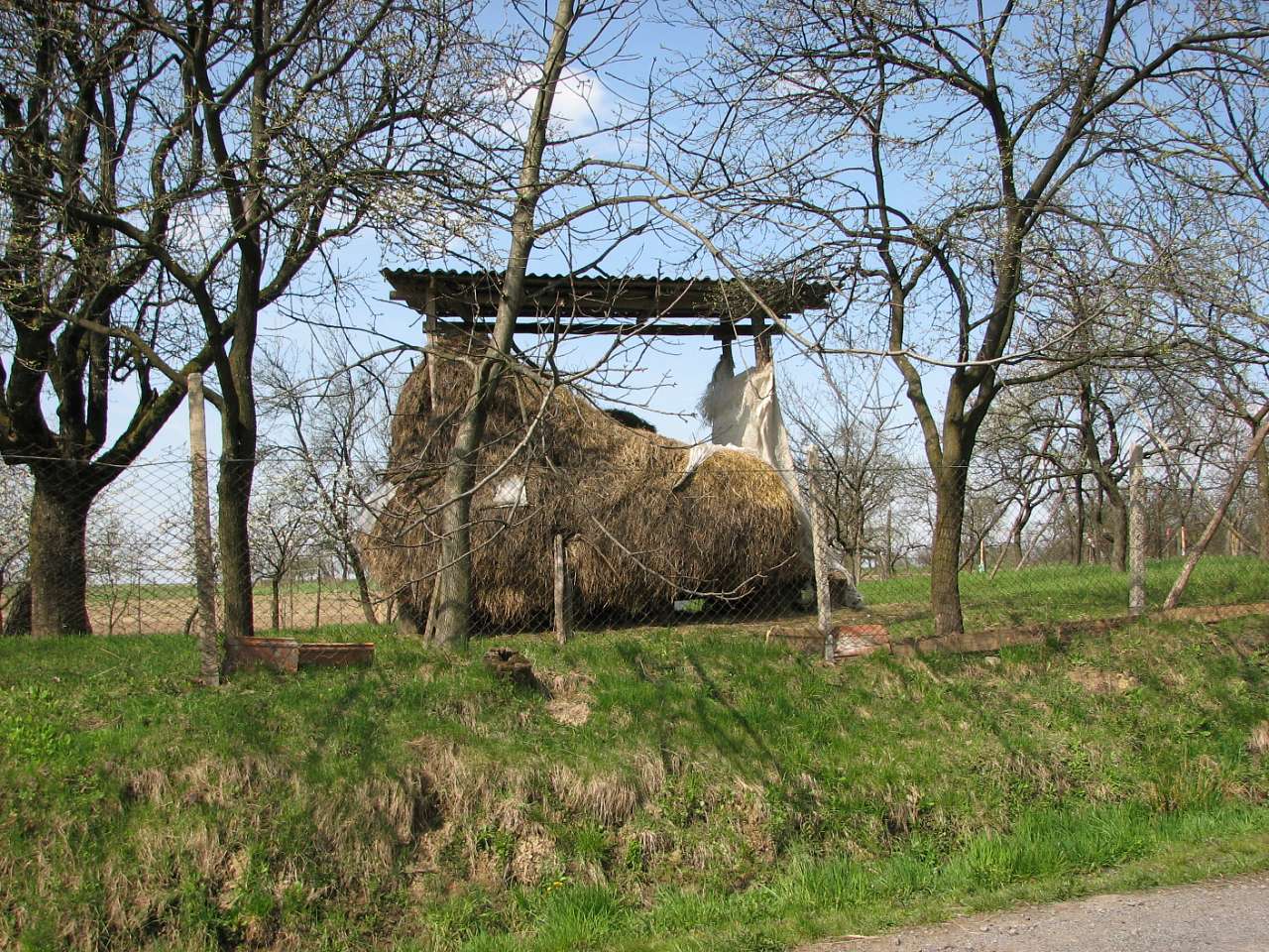 село Буковинка Мукачівський район - Bukovynka