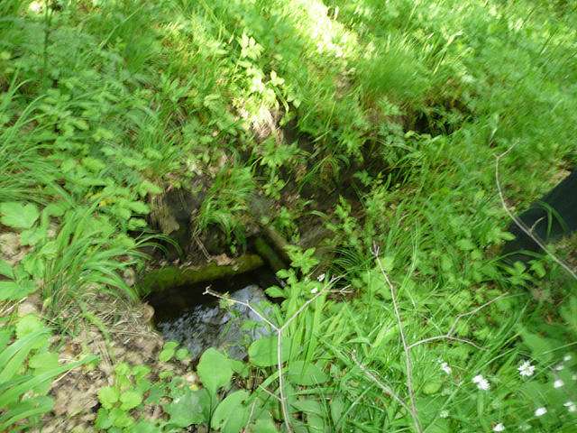 фото из группы=краю мiй Шевченкiвщино=Однокла - Безмятежне