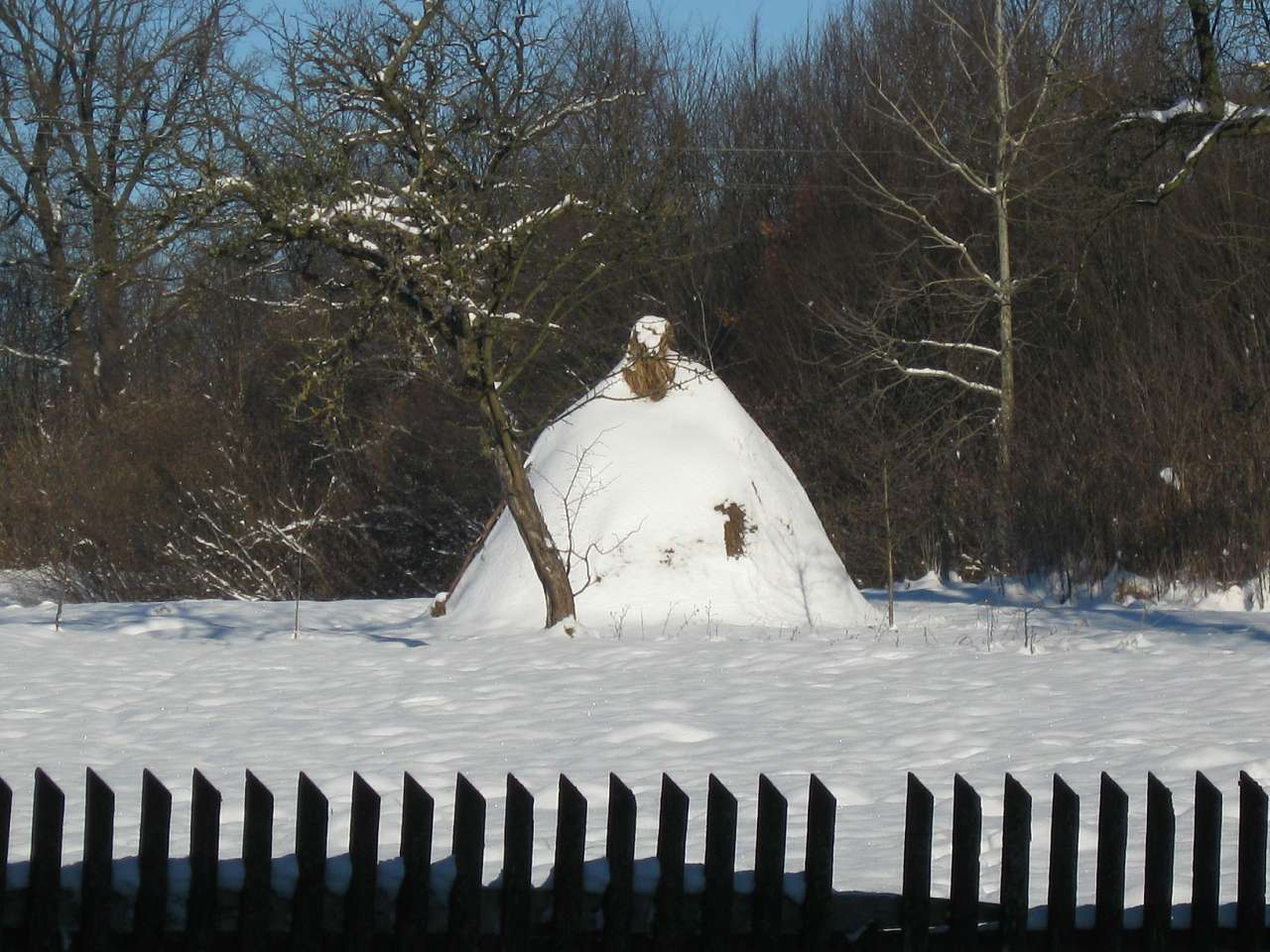 світлини - Белеїв