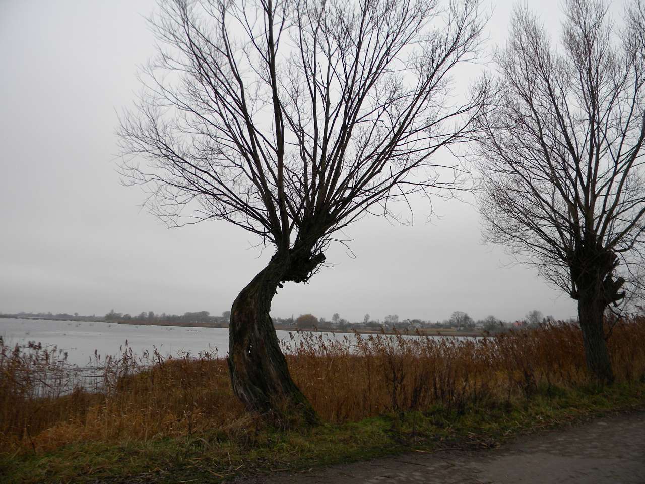 Річка Пляшівка. Замок - Козин