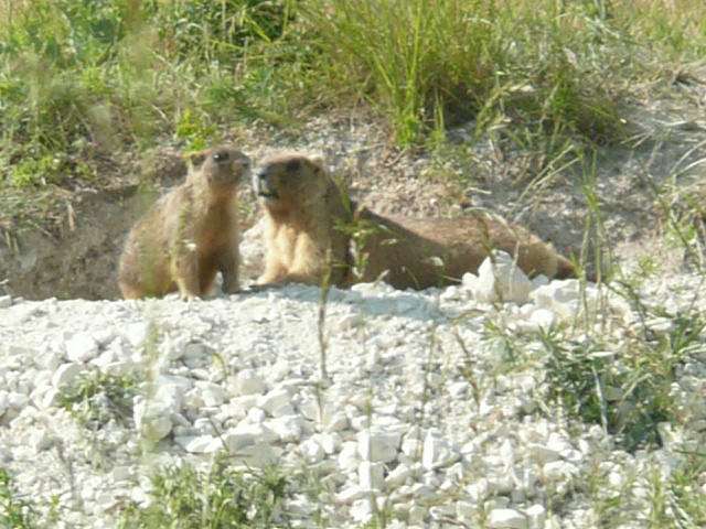 фото из группы=краю мiй Шевченкiвщино=Однокла - Безмятежне