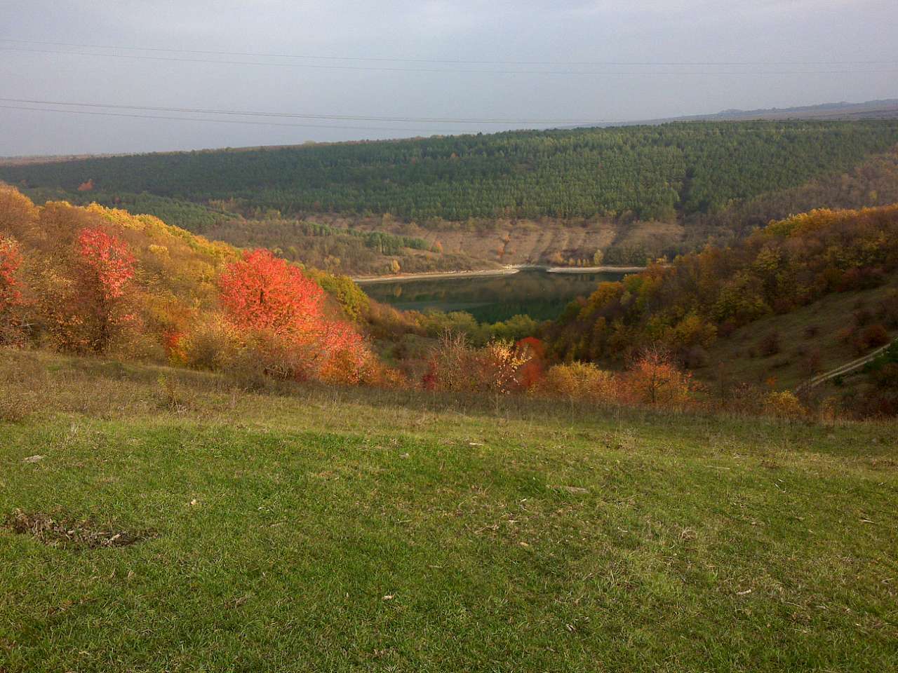 Природа - Стара Ушиця