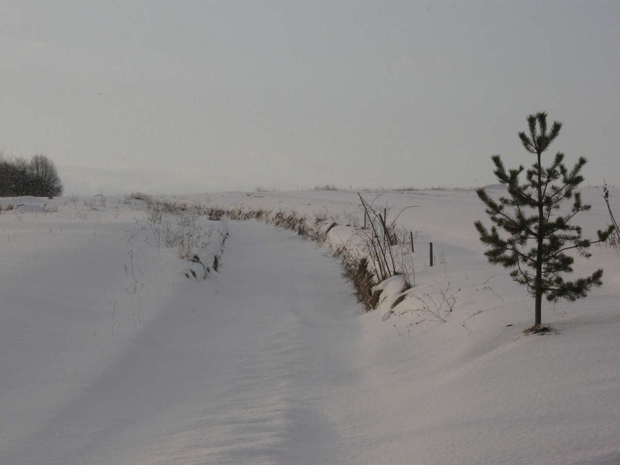 світлини - Белеїв
