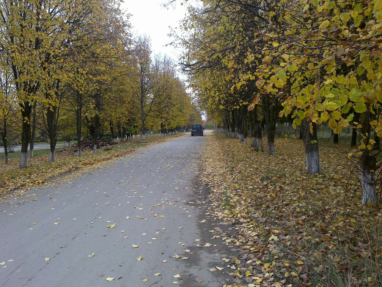 Природа - Стара Ушиця