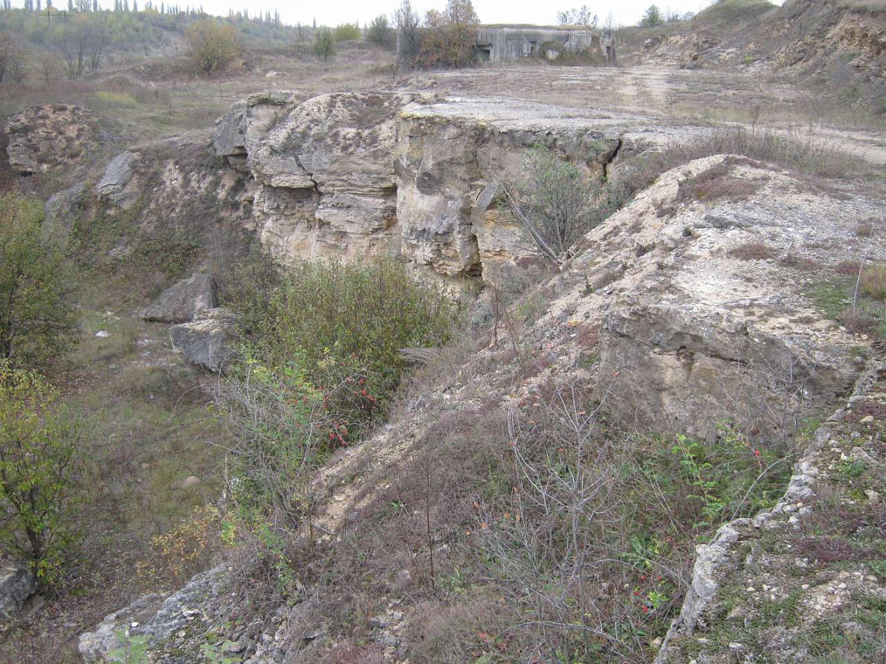 Свідки минулого - Nyzhnye