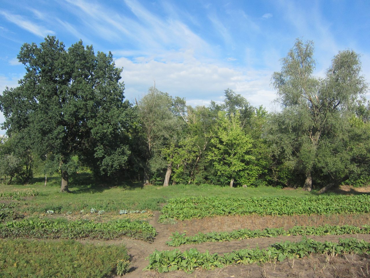 Край моего детства. - Глодоси