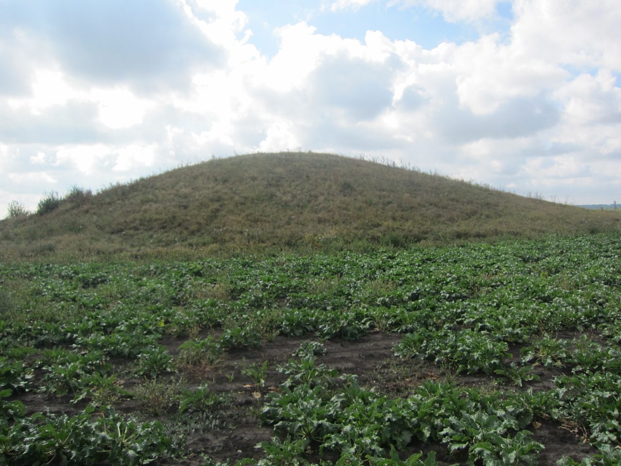 В селі Приют. - Приют