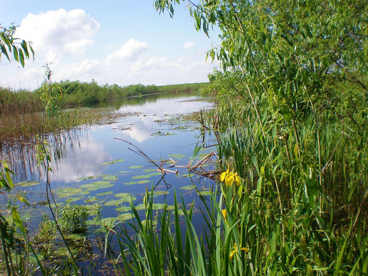 Коморы - Комори