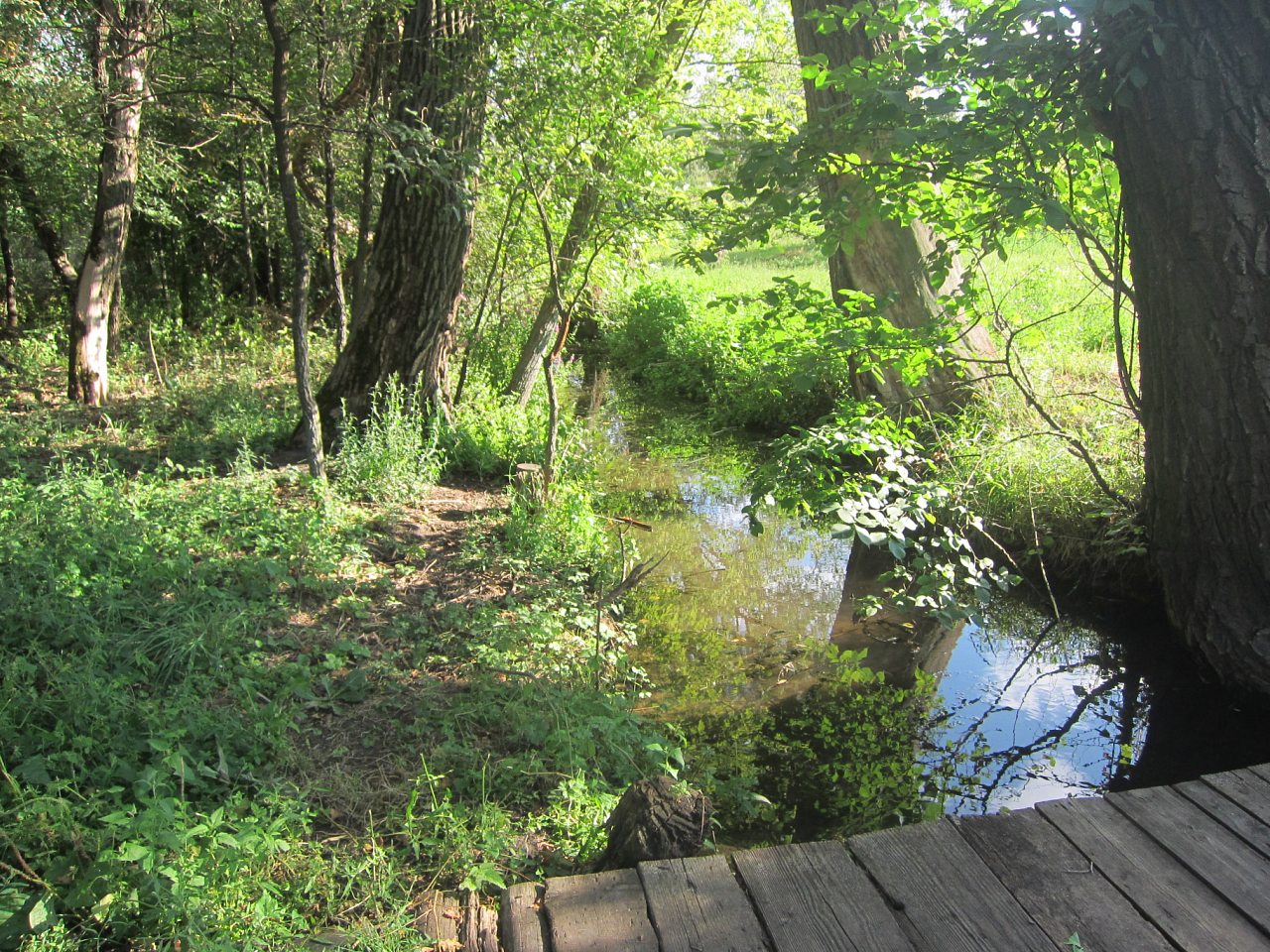 Край моего детства. - Глодоси