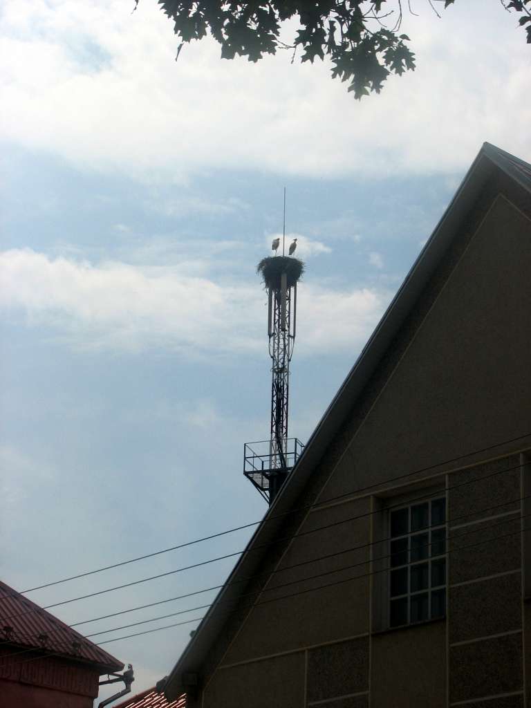 селище Вишково - Вышково