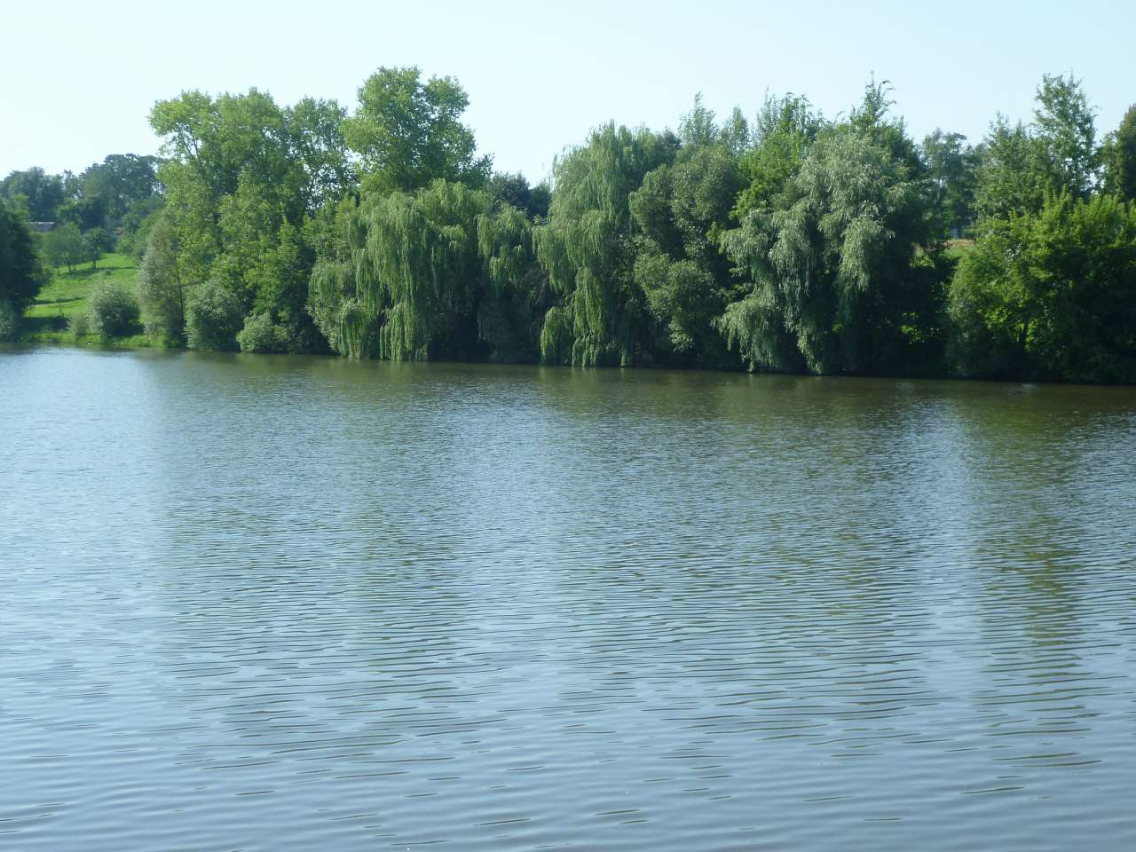 Наша природа - Припутні