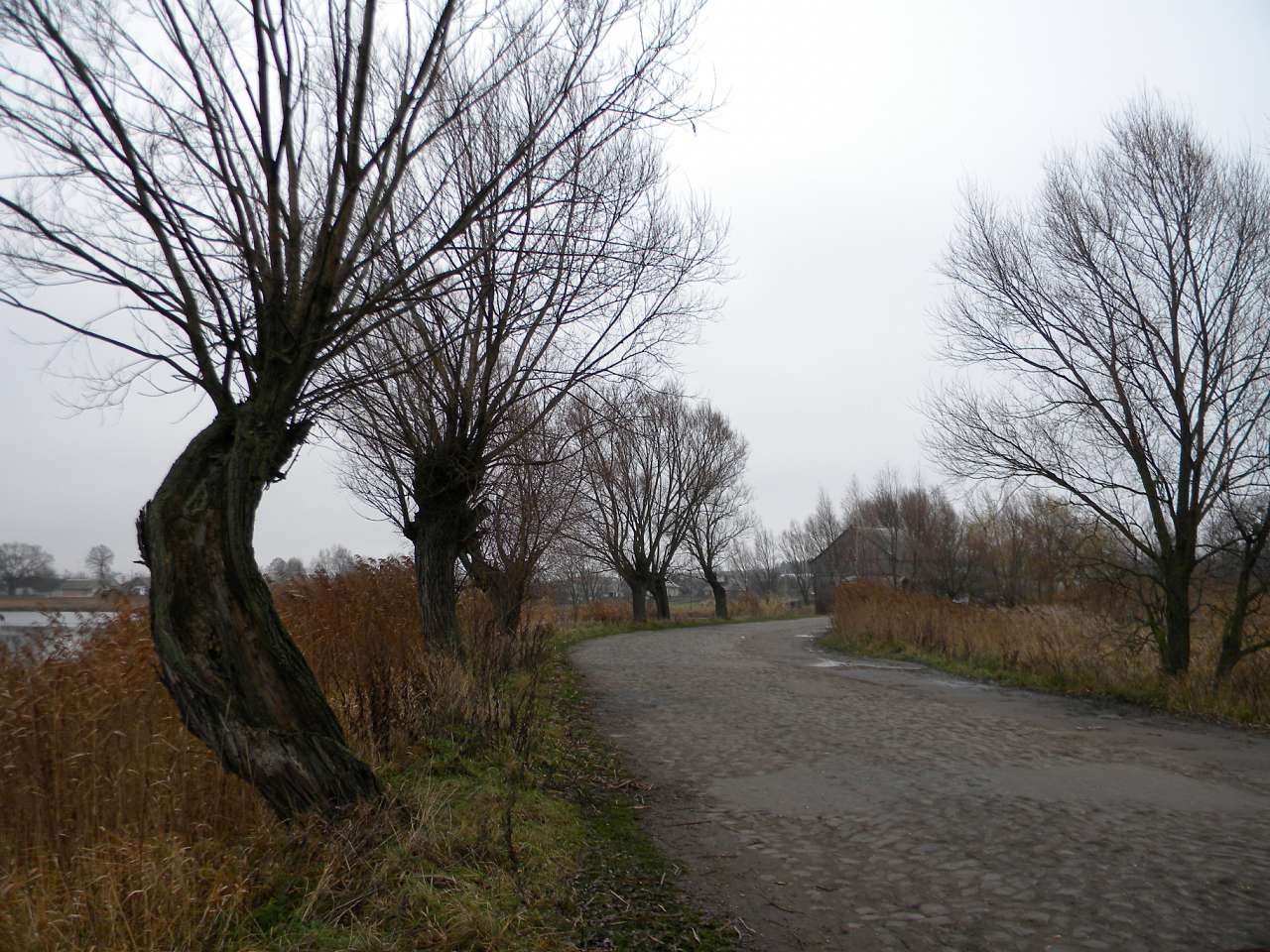 Річка Пляшівка. Замок - Козин