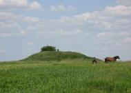 Дорогие сердцу места