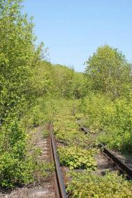 с.Голуб'ятин.