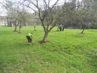 Селятинська ЗОШ-інтернат І-ІІІст.