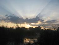 Любарські світанки