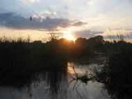 Любарські світанки