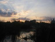 Любарські світанки