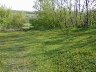 рідні місця Обозівки