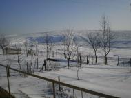 Кунисівці - Останні фото