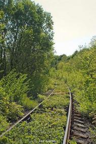 с.Голуб'ятин.