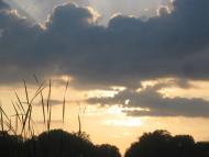 Любарські світанки