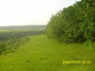 фотогалерея