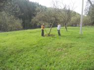 Селятинська ЗОШ-інтернат І-ІІІст.