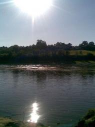 Кунисівці - Останні фото