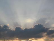 Любарські світанки