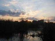 Любарські світанки