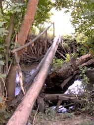 рідні місця Обозівки