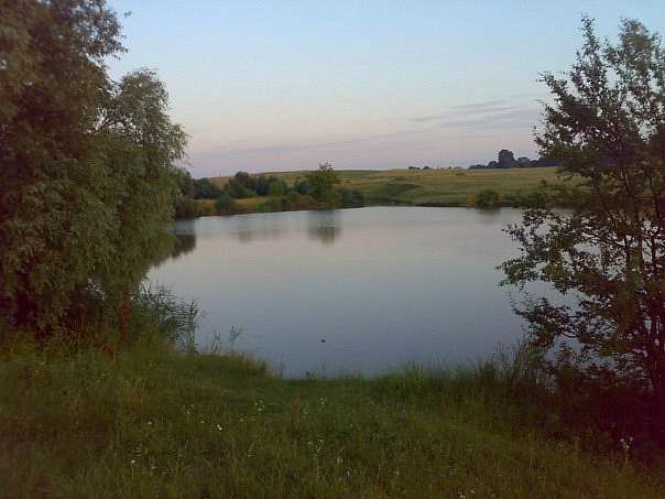 Соснівка Стаїл - Соснівка