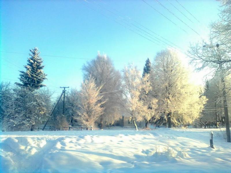 МЕДВЕДЕВЕ - Медведеве