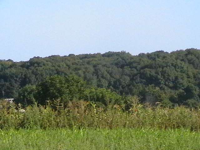 Група;Федюківка CITY - Федюківка