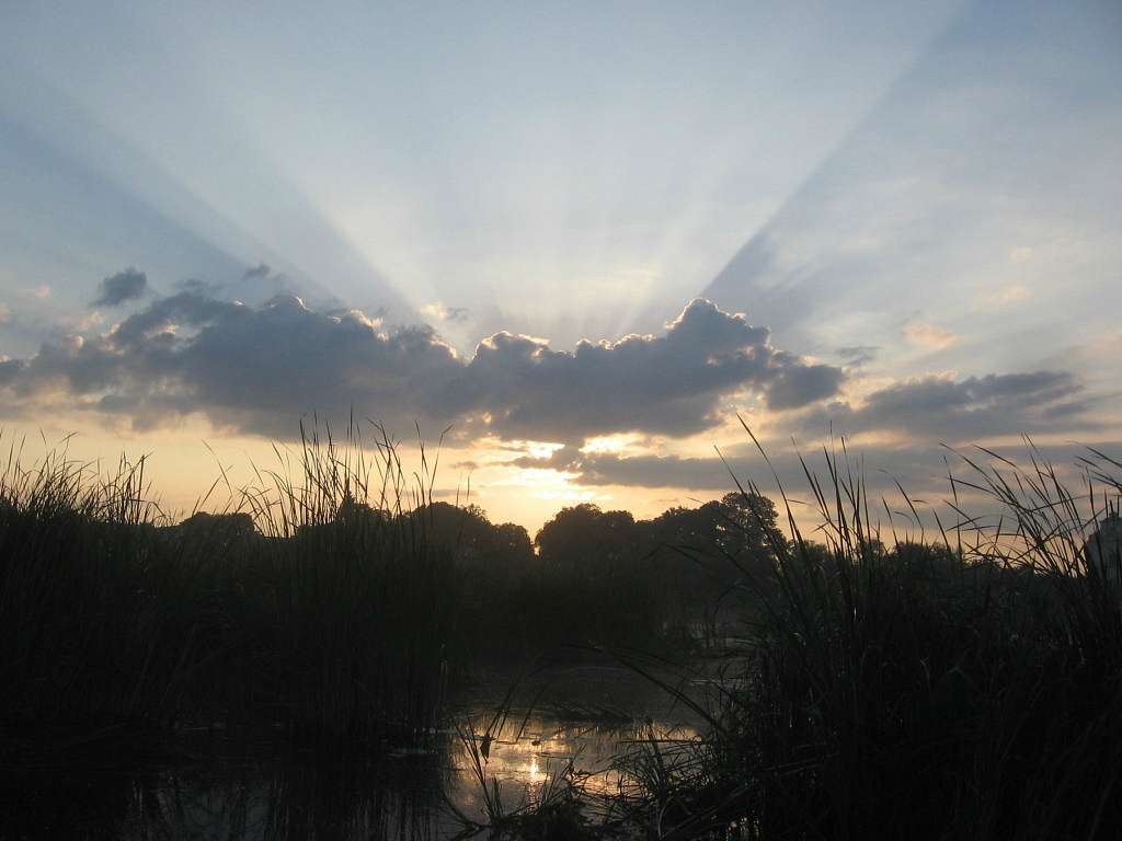 Любарські світанки - Любар