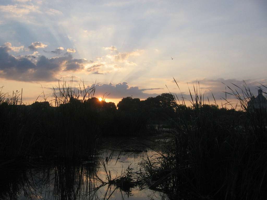 Любарські світанки - Любар