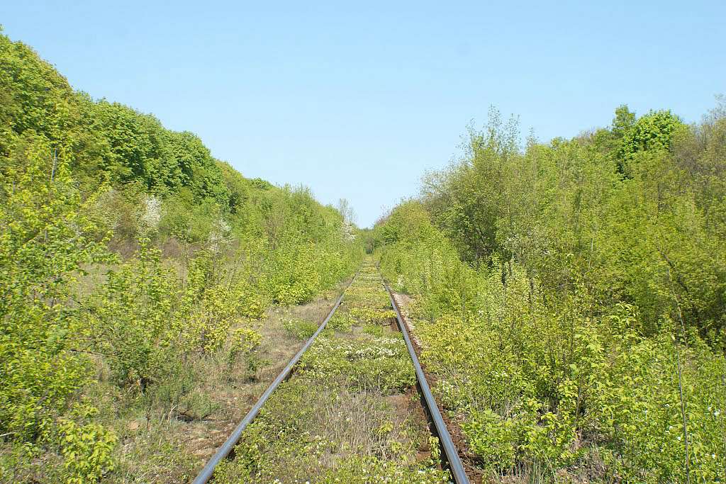 с.Голуб'ятин. - Голуб'ятин