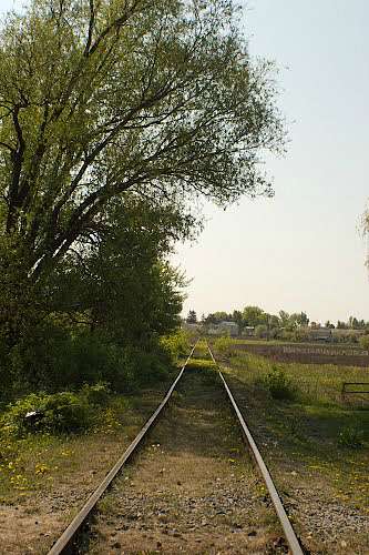 Парипси - Парипсы