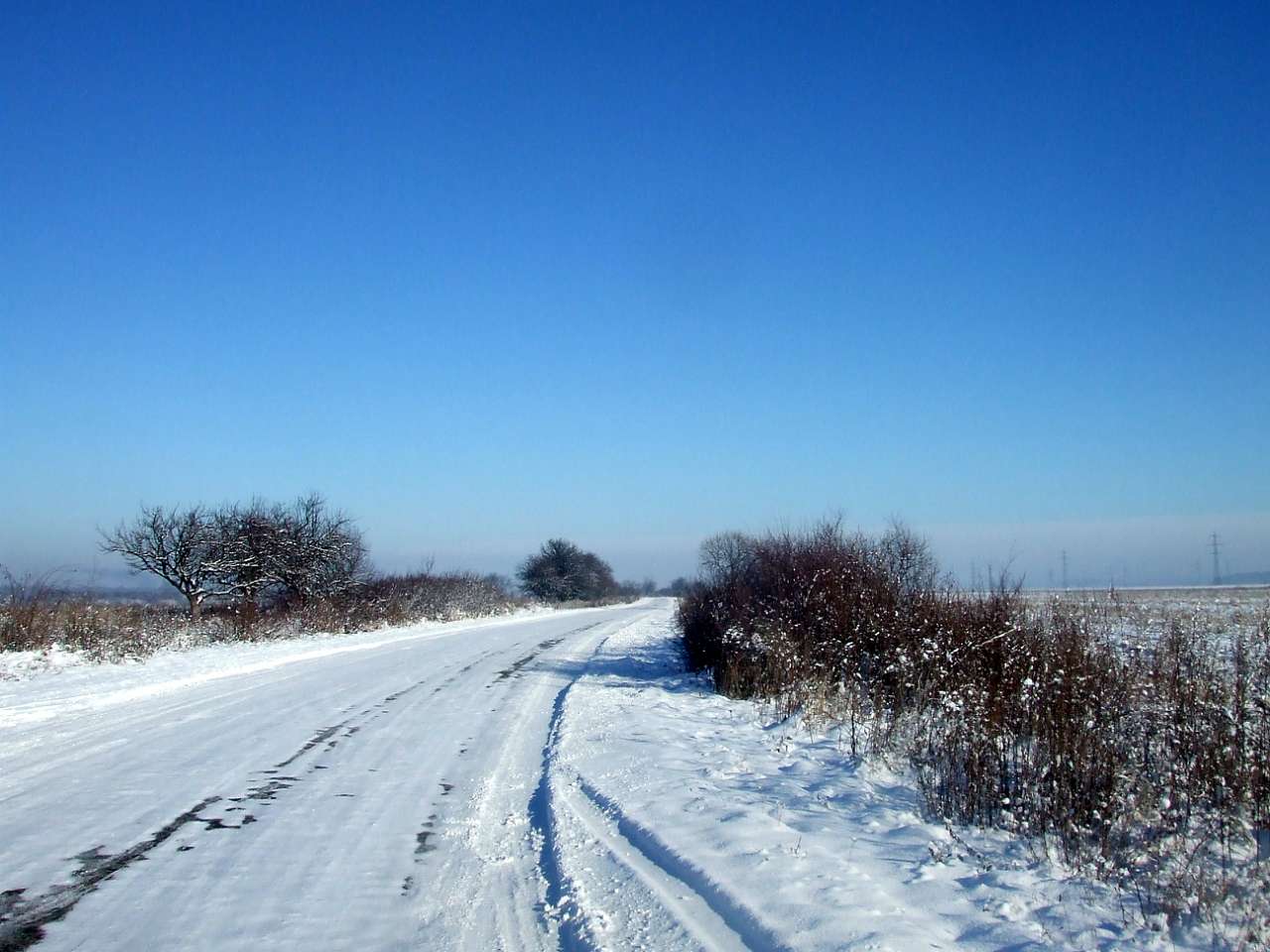 краєвид - Zhulyn