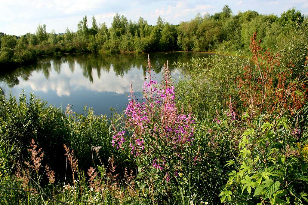 Рідні оку краєвиди - Любар