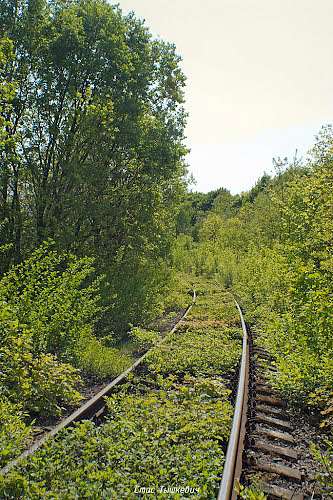 с.Голуб'ятин. - Голуб'ятин