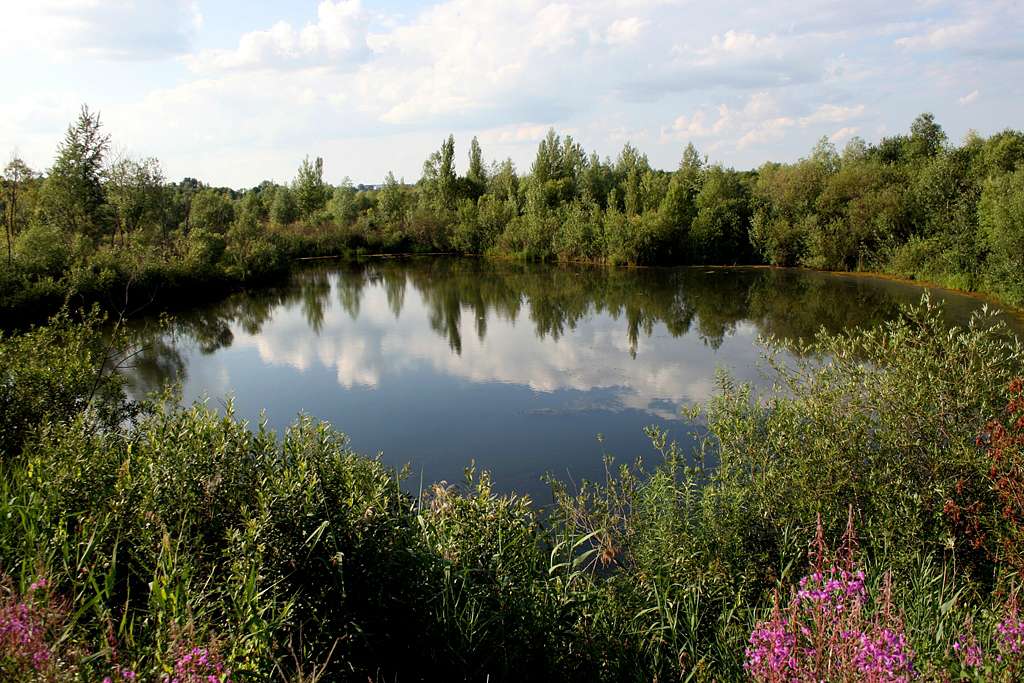 Рідні оку краєвиди - Любар