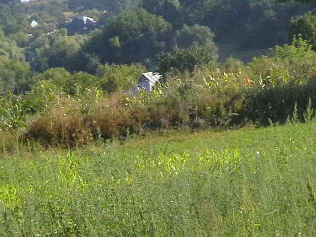 Група;Федюківка CITY - Федюківка